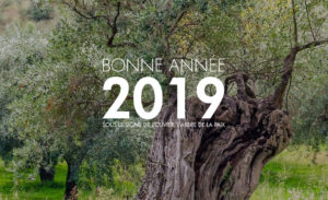 bonne-annee-2019-huile-olive-france